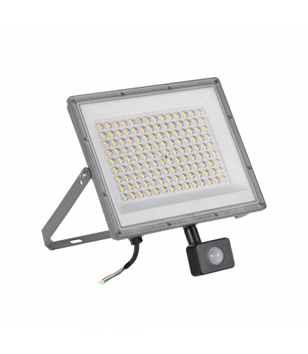 Naświetlacz LED z czujnikiem ruchu ACETE 100W CCT SE GR IP44 szary zmienna barwa świecenia
