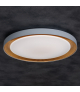 Plafoniera ANBAR LED 37W CCT BR Night Light zmienna barwa świecenia pilot biała brązowa