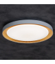 Plafoniera ANBAR LED 37W CCT BR Night Light zmienna barwa świecenia pilot biała brązowa