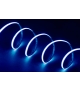 Taśma LED STRIP LCOB 24V 10,5W/M IP00 B barwa niebieska 5m