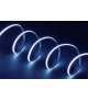 Taśma LED STRIP LCOB 24V 10,5W/M IP65 B barwa niebieska 5m