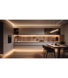 Kontroler do taśm LED CTRLD 12/24 M/RGB/CCT